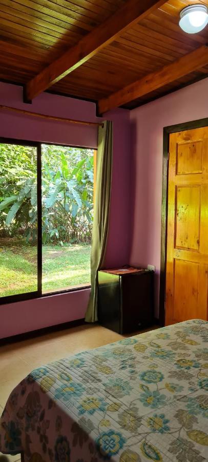Ciudad Perdida Ecolodge 까위따 외부 사진