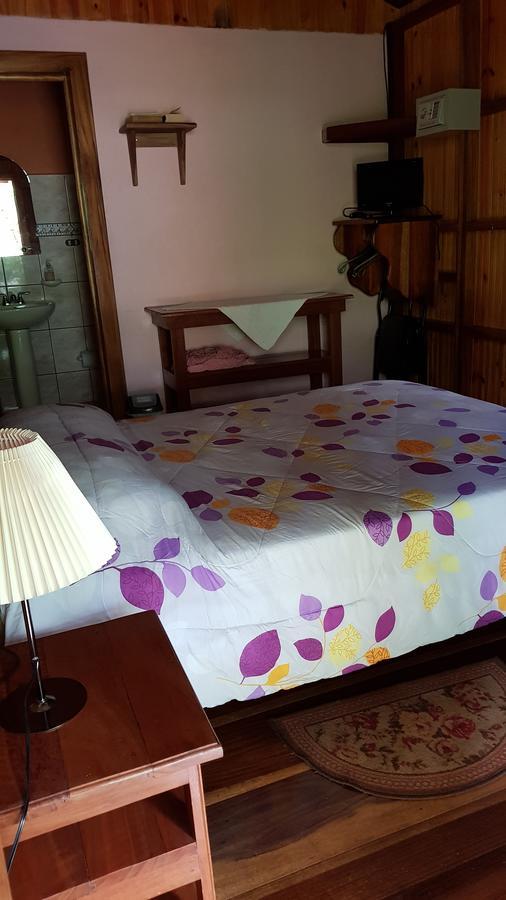 Ciudad Perdida Ecolodge 까위따 외부 사진