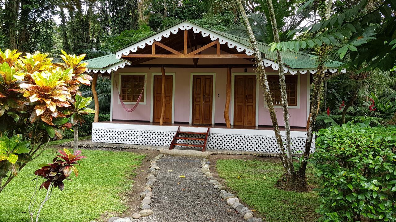 Ciudad Perdida Ecolodge 까위따 외부 사진