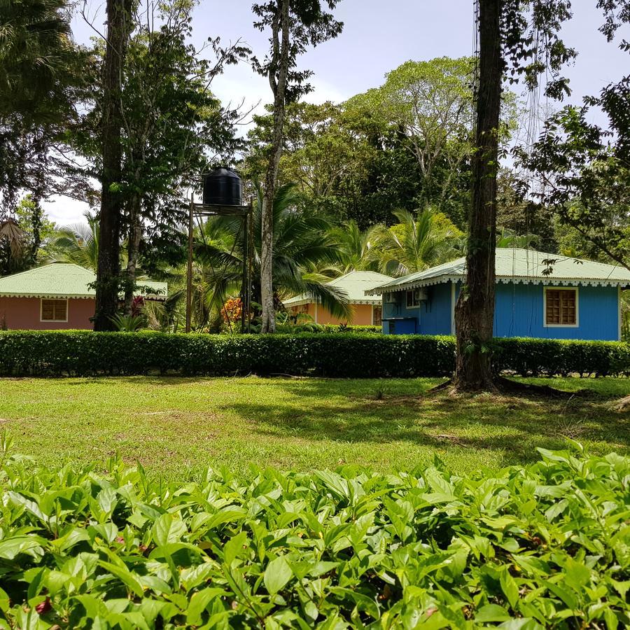 Ciudad Perdida Ecolodge 까위따 외부 사진
