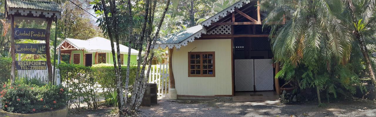 Ciudad Perdida Ecolodge 까위따 외부 사진