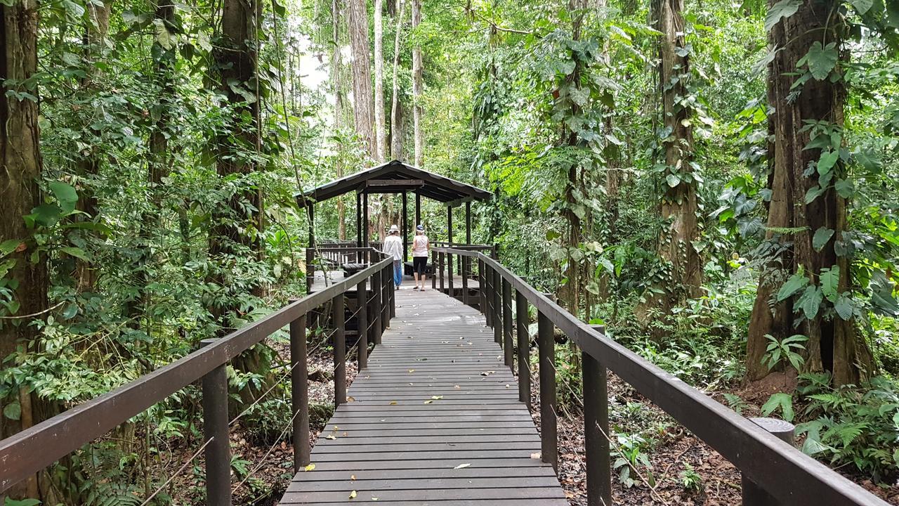 Ciudad Perdida Ecolodge 까위따 외부 사진