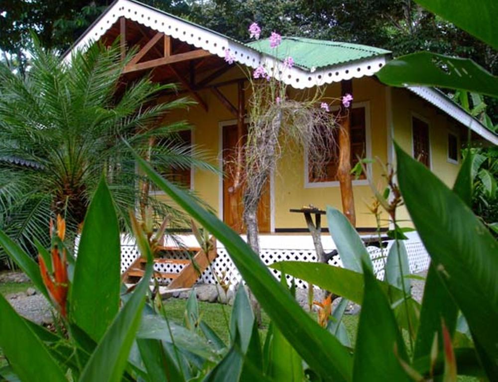 Ciudad Perdida Ecolodge 까위따 외부 사진